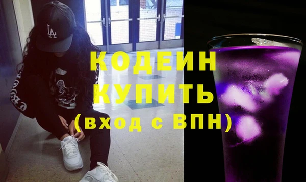гашик Алексин