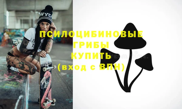 молекула духа Алексеевка