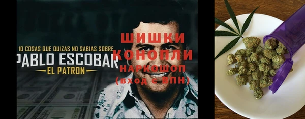 молекула духа Алексеевка