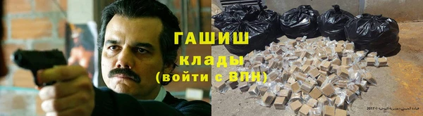 гашик Алексин