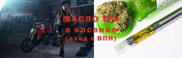 гашик Алексин