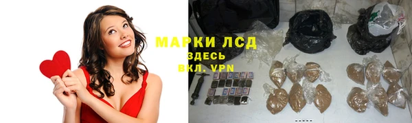 прущий лед Алзамай