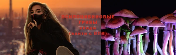 прущий лед Алзамай