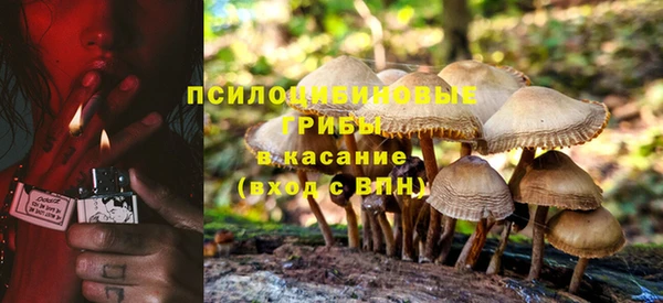 гашик Алексин