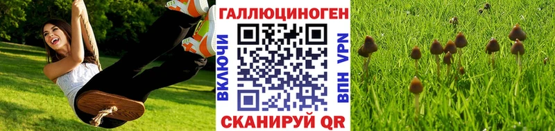 Галлюциногенные грибы GOLDEN TEACHER  Кудрово 