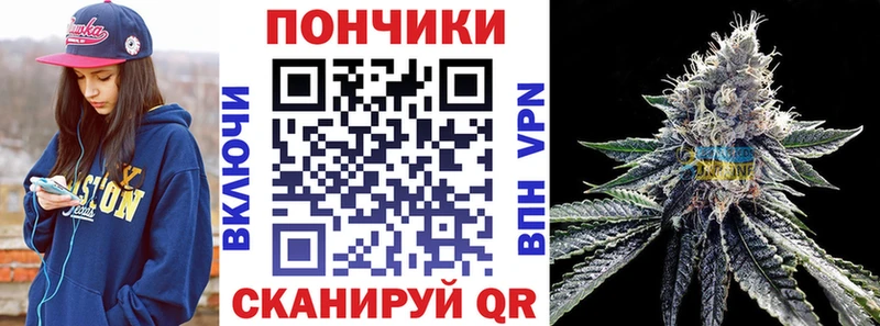 цены наркотик  Кудрово  Марихуана марихуана 